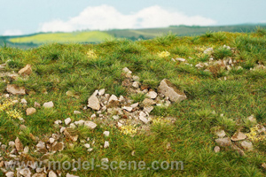 Mountain meadow with large stones - early summer (18x28cm)