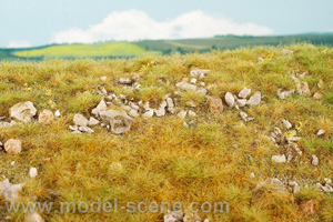 Mountain meadow with large stones - late summer (18x28 cm)