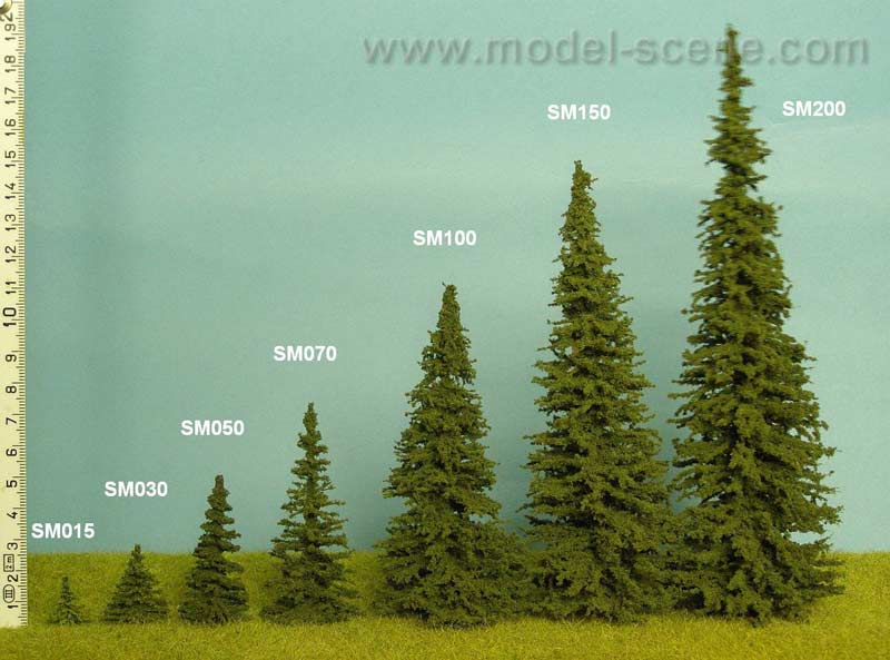 Spruce (65-80mm) - Click Image to Close